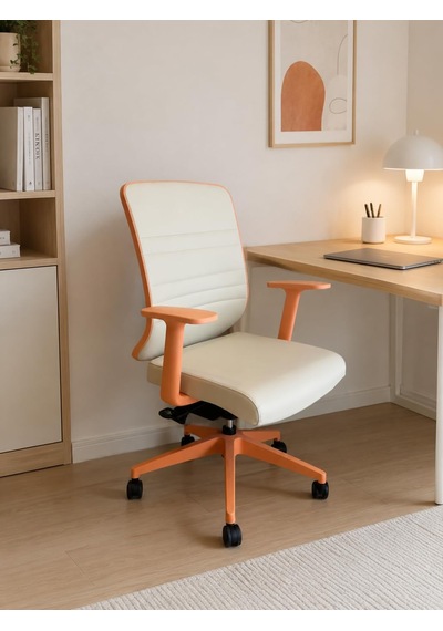Spark Fine Ofis Sandalyesi Sırt Ergonomik Çalışma Koltuğu Diğer