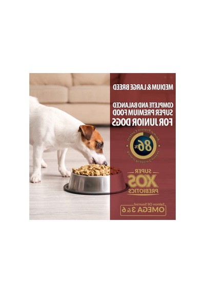 3 Kg Kuru Yavru Köpek Maması, L Ve M Boyutları İçin Uygun 100 G