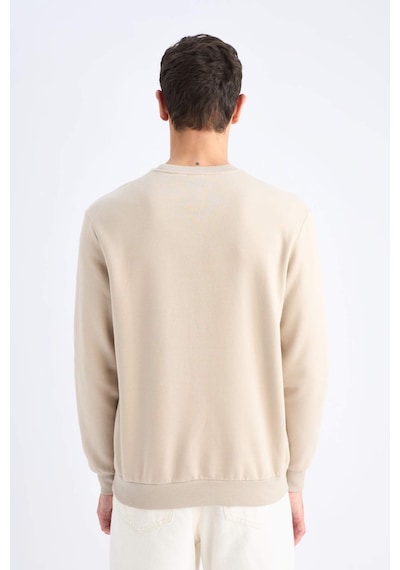 DeFacto Regular Fit Bisiklet Yaka Kalın Basic Düz Sweatshirt T3777AZ25SPBG735