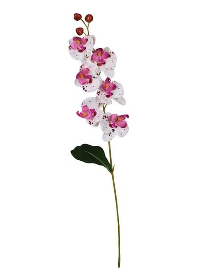 Ogc-0018 62 Cm 1 Adet Şeffaf
