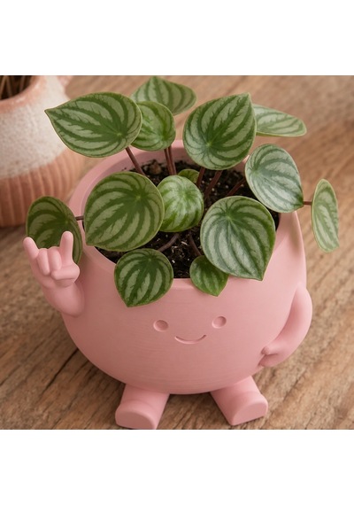 3d Baskı Smiley Face Planter - Gülümseyen Karakterli Saksı-pembe
