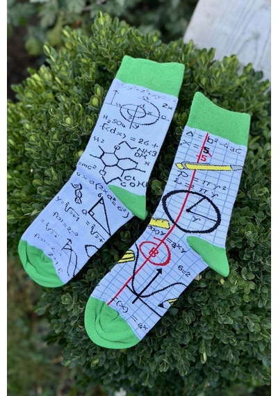 Lousocks Unisex Sağlı Sollu Matematik Formül Desenli Soket Çorap Mavi