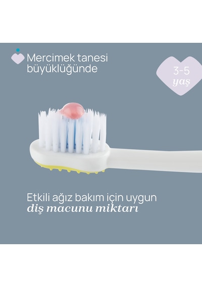 Chicco 2'li Diş Fırçası 3-6 Yaş Tıger-panda 00012084110000