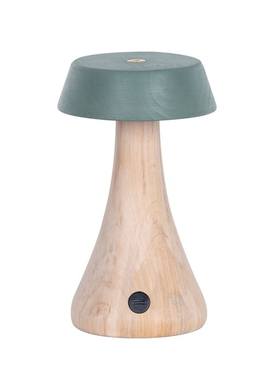 Morchella Şarjlı Yeşil Masa Lambası