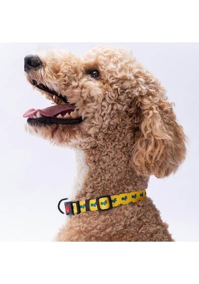 Cactus Kaktüs Desenli Köpek Boyun Tasması Ayarlanabilir Köpek Tasması M Size 32-48cm Boyun Aralığı Sarı