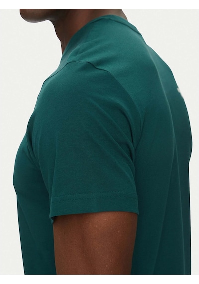 The North Face Simple Dome Erkek Yeşil Tişört Nf0a87ng6gı1 Yeşil