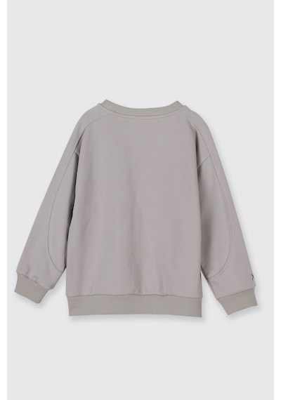 Panço Erkek Çocuk Baskılı Taş Sweatshirt Gri