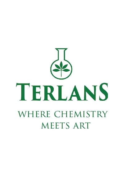 Terlans Su Bazlı Parlak Vernik 250 Ml Akrilik ve Yağlı Boya