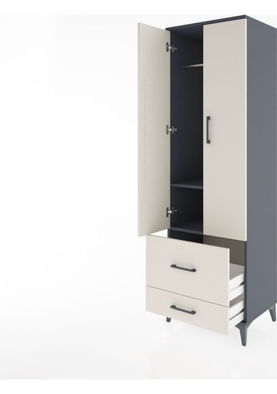 Hyperion Dolap 2 Raflı 2 Çekmeceli Tek Askılı 60x44x195 Antra... Antrasit