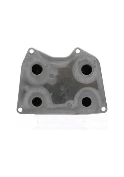 Mahle Clc221000s Sanziman Yag Sogutucusu 077117021p 77117021p