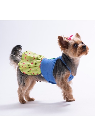 Avo Bliss Denim Avokado Desenli Kot Kedi Köpek Elbisesi - Kedi Köpek Kıyafeti