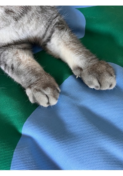 Desenli Yuvarlak Kedi Ve Orta Irk Köpek Yatağı - Çıkarılabilir Ve Yıkanabilir Kılıf Organizer Çanta Hediyeli