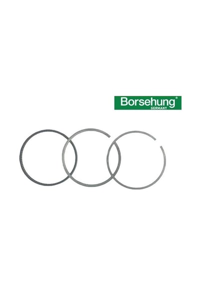 06b198151a Motor Segman Std 81.00 Mm 1 Piston İçin - Golf- Passat-jetta-bora-1.6 Lt.-bfq-alz-bse-bgu