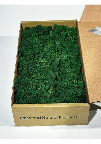 Reindermoss Şoklanmış Norveç Yosunu Terarium Yosunu Forest Green 5 Kg.