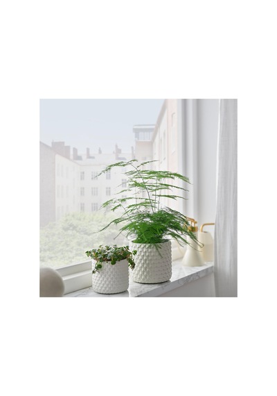 Ikea Glaciarbjörn Serisi, Beton Saksı, 12 Cm, Beyaz