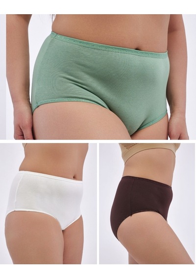 Alya Underwear Kadın Extra Battal Külot - 5 Adet Beyaz 8xl, 9xl, 10xl Çok Renkli3