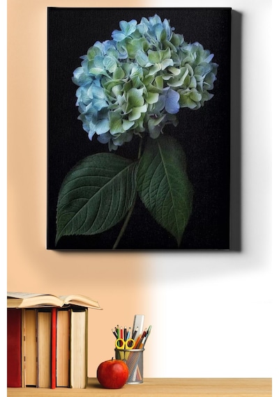 Webstyle Sayılarla Boyama Seti Kasnaklı Dağ Ortancası 60 X 75 Cm