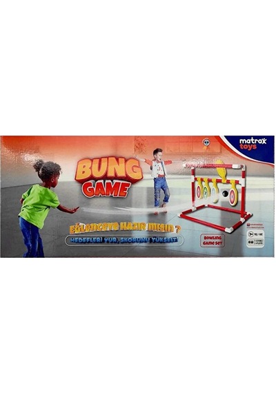 2284 Bowling Seti
