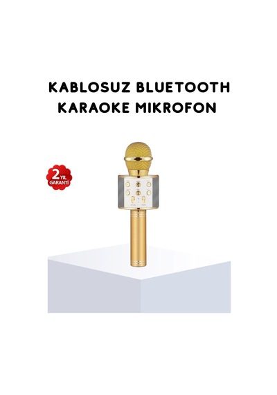 Hubrendy Tekno Karaoke Mikrofonu Bluetooth Usb Aux Girişli Yankı Efektli