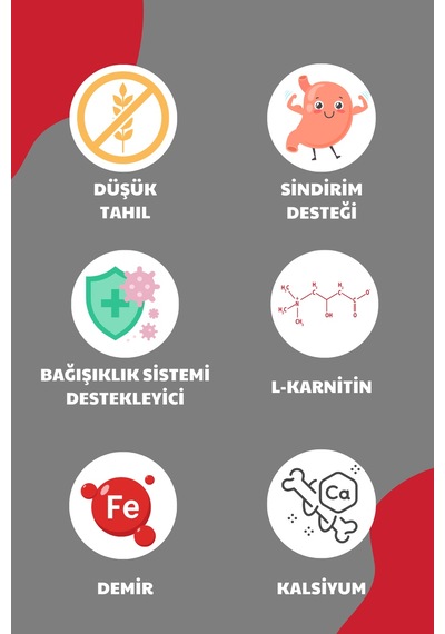 Petline Sport Yüksek Enerjili Kuzu Etli Yetişkin Kuru Köpek Maması 2 x 12 KG