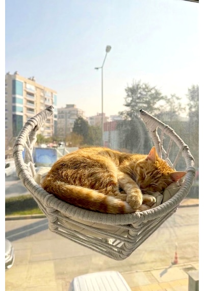 Reyo Lüxperi Hilal Kedi Cam Yatağı & Vantuzlu Cam Yatağı & Kedi Pencere Yatağı Açık Gri