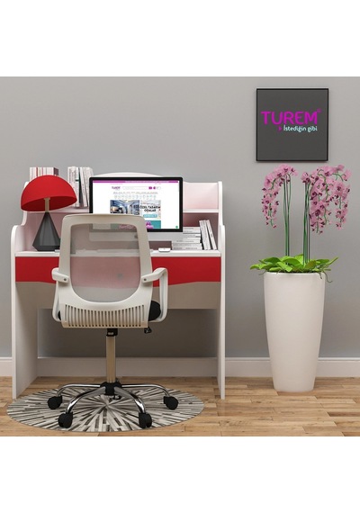 Hisar Çalışma Masası Suntalam Çok Renkli