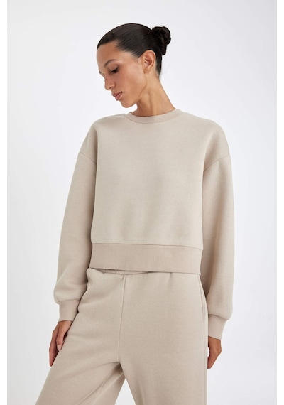 Defacto Boxy Fit Bisiklet Yaka Kalın Basic Düz Sweatshirt B8568AX24WNBG187 Bej