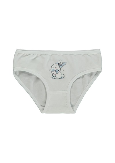 Artı Çorap Tavisan 3'lü Kız Slip Set - Standart
