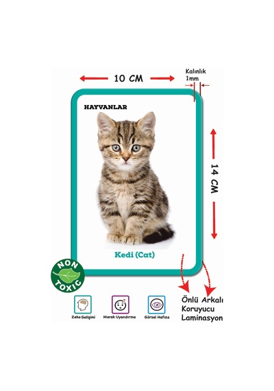 Dıy Toy Eğitici Kartlar İlk 100 Sözcük