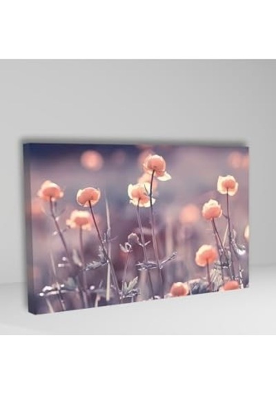 Tablosu 70 X 120 -