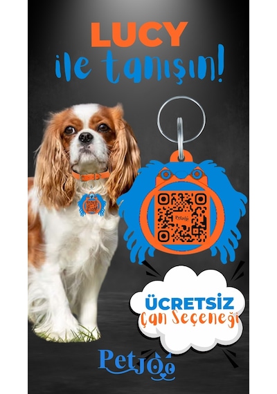 Petjoo 11.Lucy Mavi-Turuncu Qr'lı Köpek Künyesi