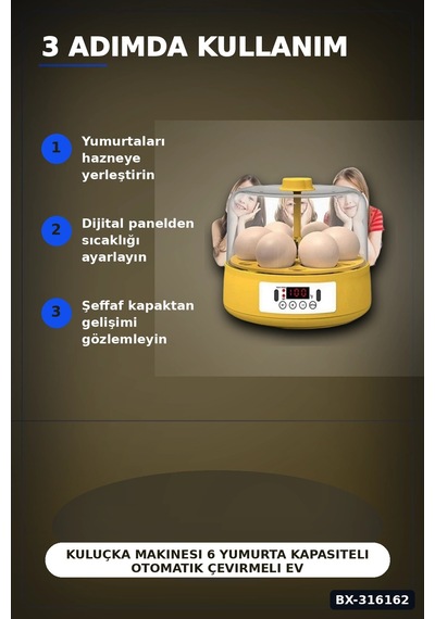 Kuluçka Makinesi 6 Yumurta Kapasiteli Otomatik Çevirmeli Ev Tipi Elektrikli Bx-316162