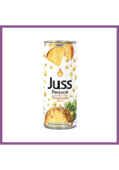 Bezos Juss Ananas Patçacıklı 250 Ml 4 Adet Rengaren