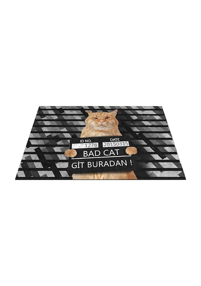 Kedi Köpek Komik Tasarımlı Dekoratif Kapı Önü Paspas, Dış Mekan/ev İçi/banyo/mutfak/yatak Odası/giriş Paspas Diğer