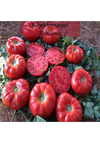 Köy Domatesi Tohumu 1 Paket 3gr 850+ Adet Domates Tohumu
