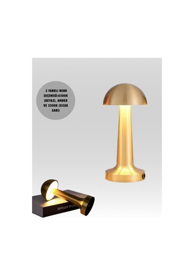 Şarjlı Dimmerli Led Masa Lambası 4-8 Saat Aydınlatma Yeni Nesil - Hs08374138-7957 Renkli Renkli