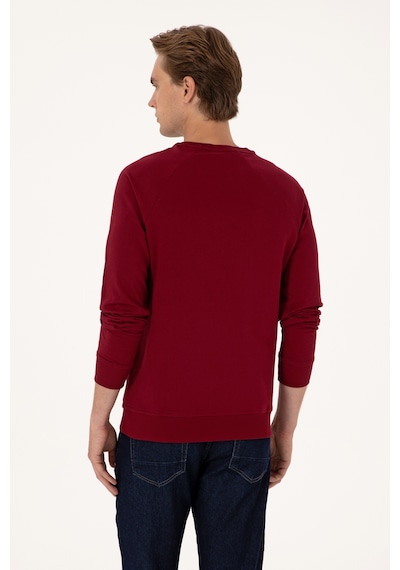 U.S. Polo Assn. Erkek Regular Fit Bisiklet Yaka Bordo İnce Basic Sweatshirt 50313752-VR014