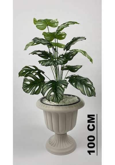 Biçiçek Yapay Monstera Deve Tabani 70 Cm Krem Nergi̇s Saksıda