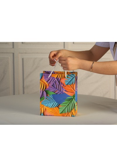 Çabuklar A.Ş Karton Çanta Körüklü Tropikal 25 Adet 20 x 10 x 23.50 CM