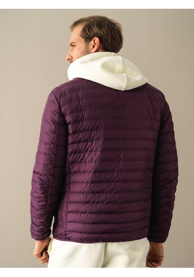 Xint Mor Regular Fit Dik Yaka Şişme Mont 190527