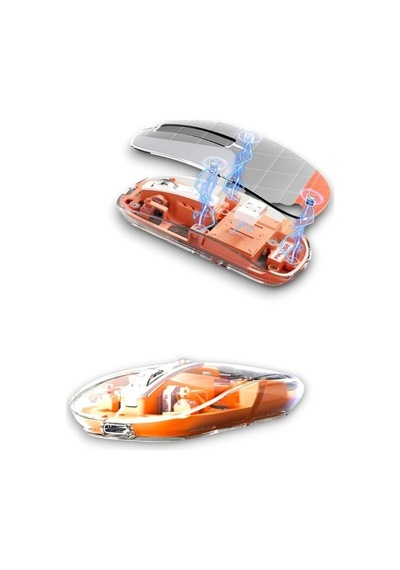 Pg-9010 Mouse Fare -