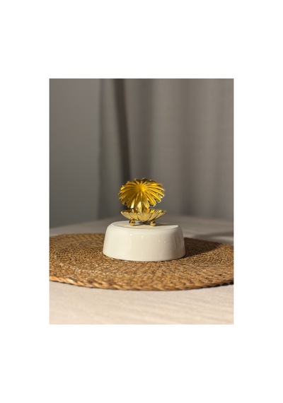 Gold Rengi Metal İstiridye 6'lı Kahve Yanı Sunumluk Altın - 806699719 Altın
