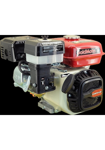 Goldmoto Gm200F25 Benzinli Motor 6.5 Hp Krank Mili Frezeli 25Mm