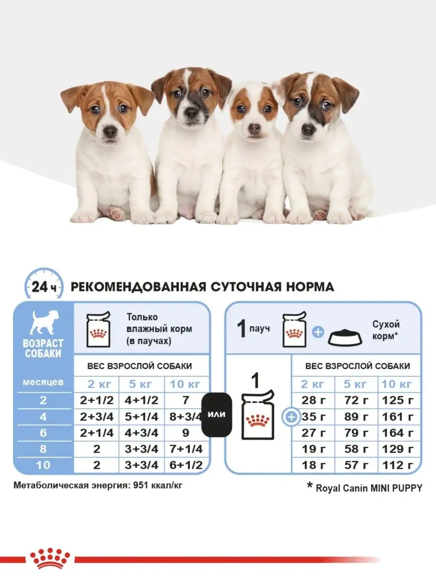 Royal Canın Yavru Köpek Maması Mini Puppy 85g 12 Adet 166721941