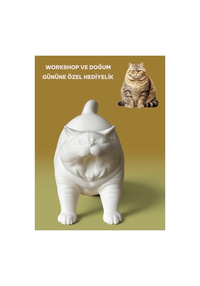 3d Tombul Kedi Figür Boyama Seti - Kendin Boya Hobi Ve Etkinlik Seti - Akrilik Boya + 2 Fırça