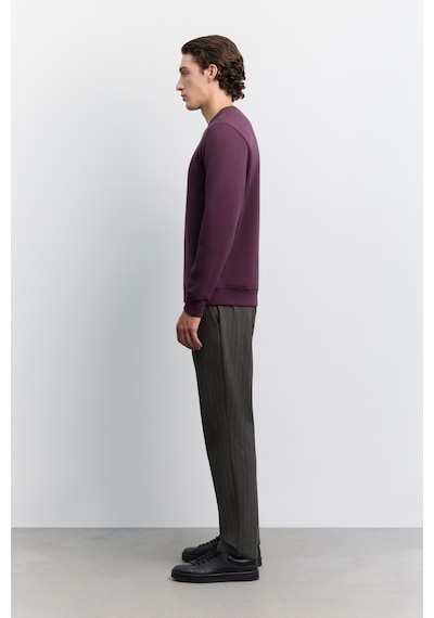 Avva Erkek Bordo Bisiklet Yaka 3 İplik Şardonlu -5 Dereceye Dayanıklı Regular Fit Sweatshirt A62y1291