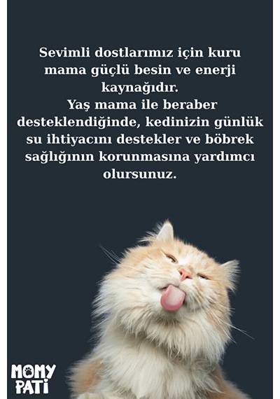Tavuklu Konserve Kedi Maması 400 Gr X 12 Adet Yetişkin Kediler İçin