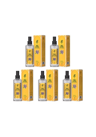 Rebul Lavanda Kolonya 5 x 100 ML