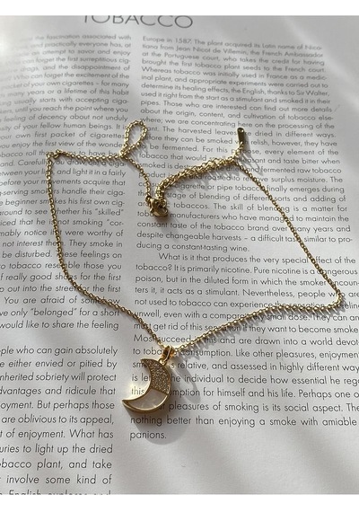 Zirkon Taşlı Sedefli Yarım Ay Çelik Kararmaz Gold Kolye Altın