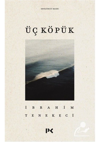 Üç Köpük - İbrahim Tenekeci - Profil Kitap